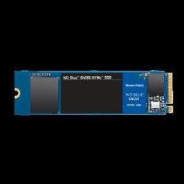 Western Digital 250GB Blue WDS250G2B0C NAND SSD Sabit Disk