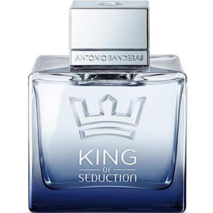 Antonio Banderas King Of Seduction EDT 100 ml Erkek Parfüm Yorumları