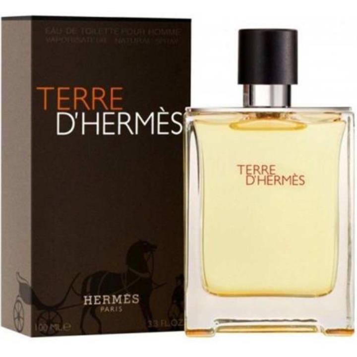 Hermes Terre D'Hermes EDT 100 ml Erkek Parfümü Yorumları