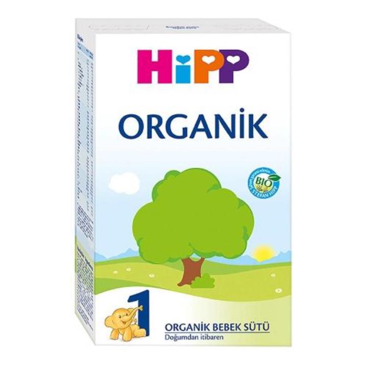 Hipp 1 0-6 Ay 300 gr Organik Devam Sütü Yorumları