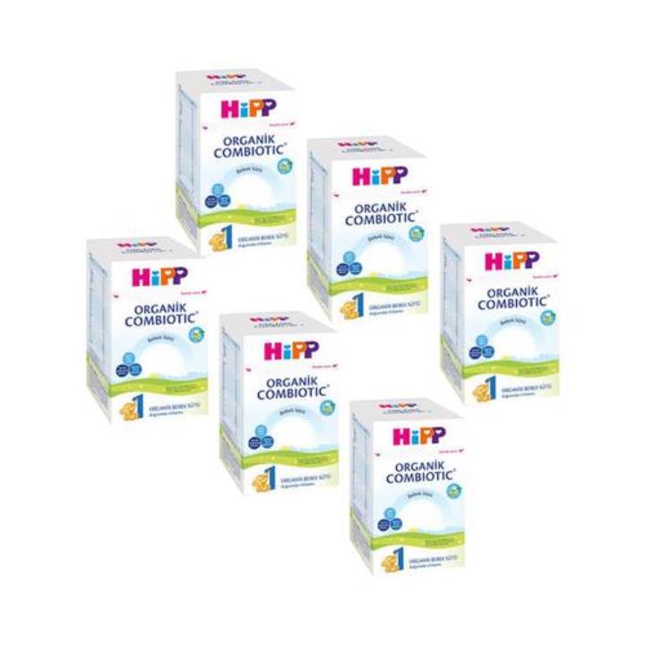 Hipp 1 Organik Combiotic 6x800 gr Bebek Sütü Yorumları