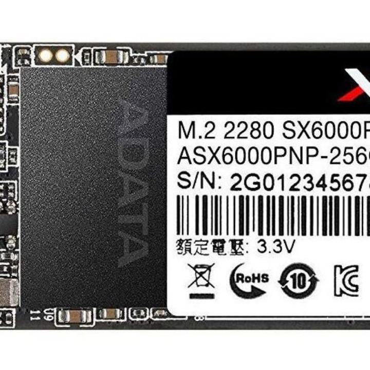 XPG ASX6000PNP-256GT-C 256 GB Flash SSD Yorumları