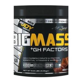 BigJoy Sports BIGMASS Gainer Çikolata-Çilek 3000 gr Protein