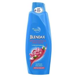 Blendax 550 ml Kına Özlü Renk Koruma & Parlaklık Şampuanı