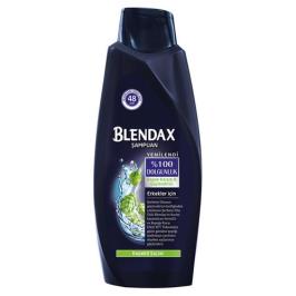 Blendax Erkekler 550 ml Kepeğe Karşı Etkili Şampuan