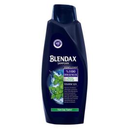 Blendax Erkekler İçin Mentollü 550 ml Şampuan 