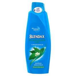 Blendax Isırgan Özlü 500 ml Şampuan