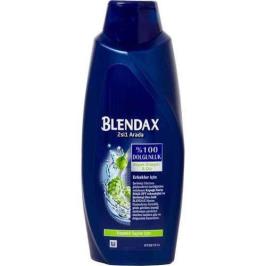Blendax Kepek Karşıtı 550 ml Şampuan