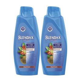 Blendax Kına Özlü 2x550 ml Şampuan