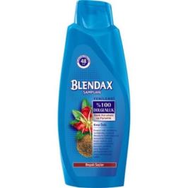Blendax Kına Özlü 550 ml Şampuan
