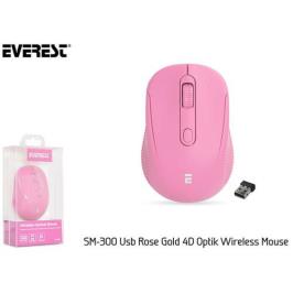 Everest SM-300 Siyah USB 4D Optik Sessiz Mouse