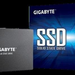 Gigabyte GSTFS31256GTND 256 GB Flash SSD