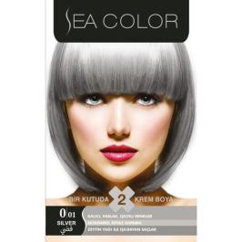 Sea Color 0.01 Füme Gri 2'li Saç Boyası 